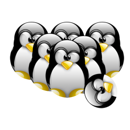 penguin pingouin pinguino 129